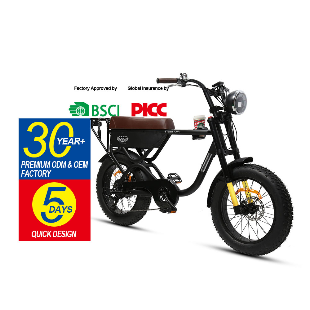 Electric bike ebike Gear 7 electric bike motorcycle