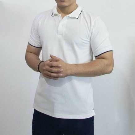 越南的高质量透气可持续短袖休闲男士polo衬衫