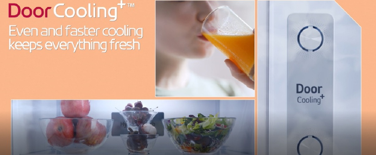 [[笨重] LG GF-B4539PZ法国门冰箱，464L，白金银 +免费送货 +免费安装 +免费处置 +免费处置